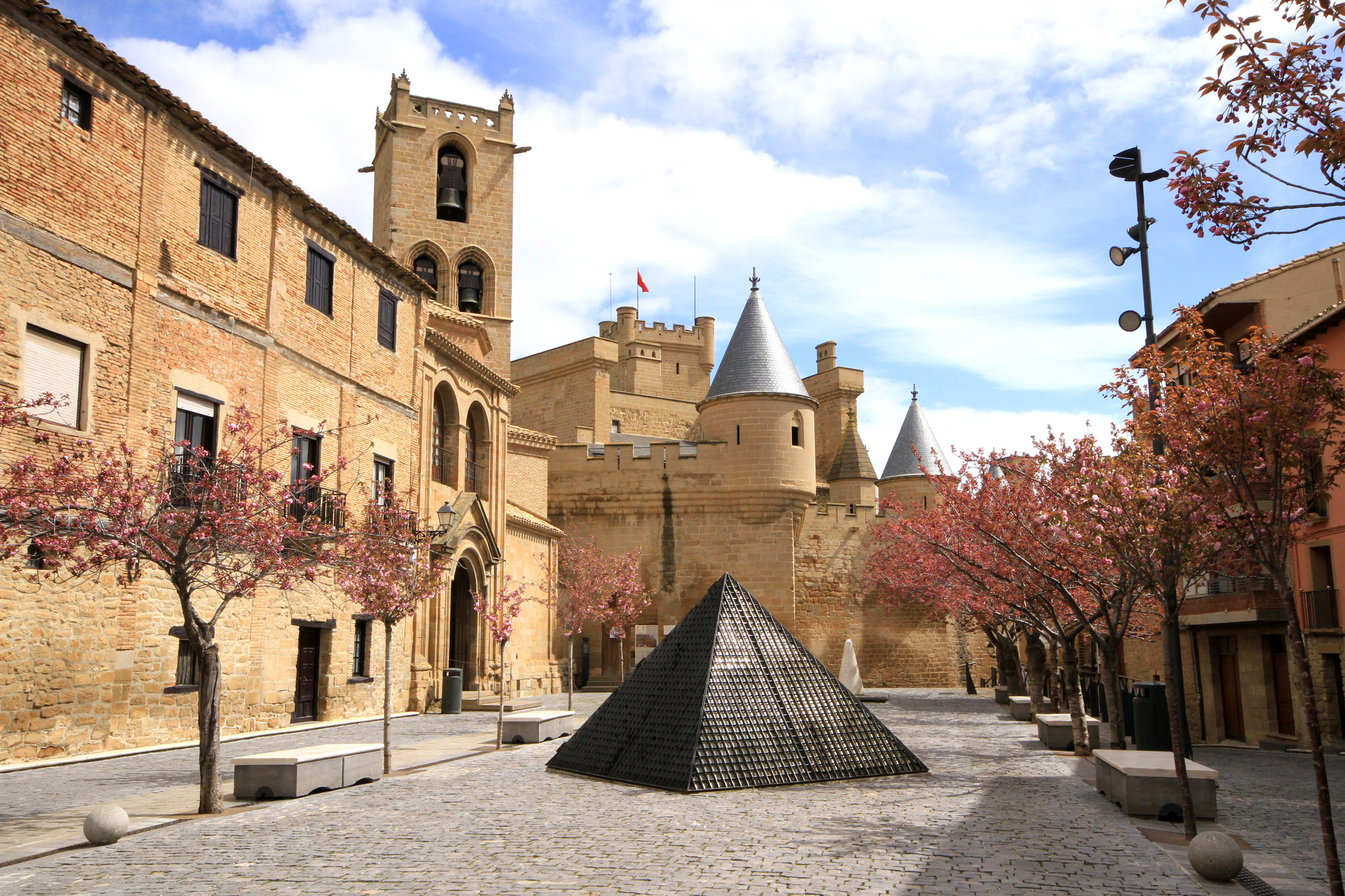 Castillo de Olite excursiones navarra baztan bardenas olite irati camino santiago
